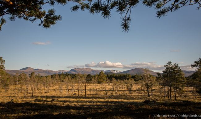 Cairngorms from Nethy Bridge