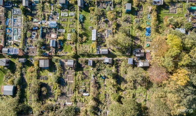 Allotments