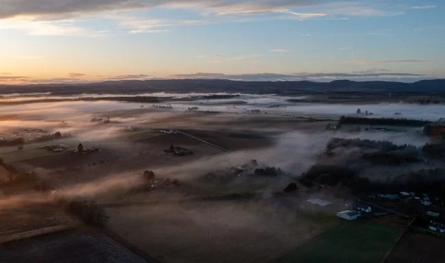 Morning mists